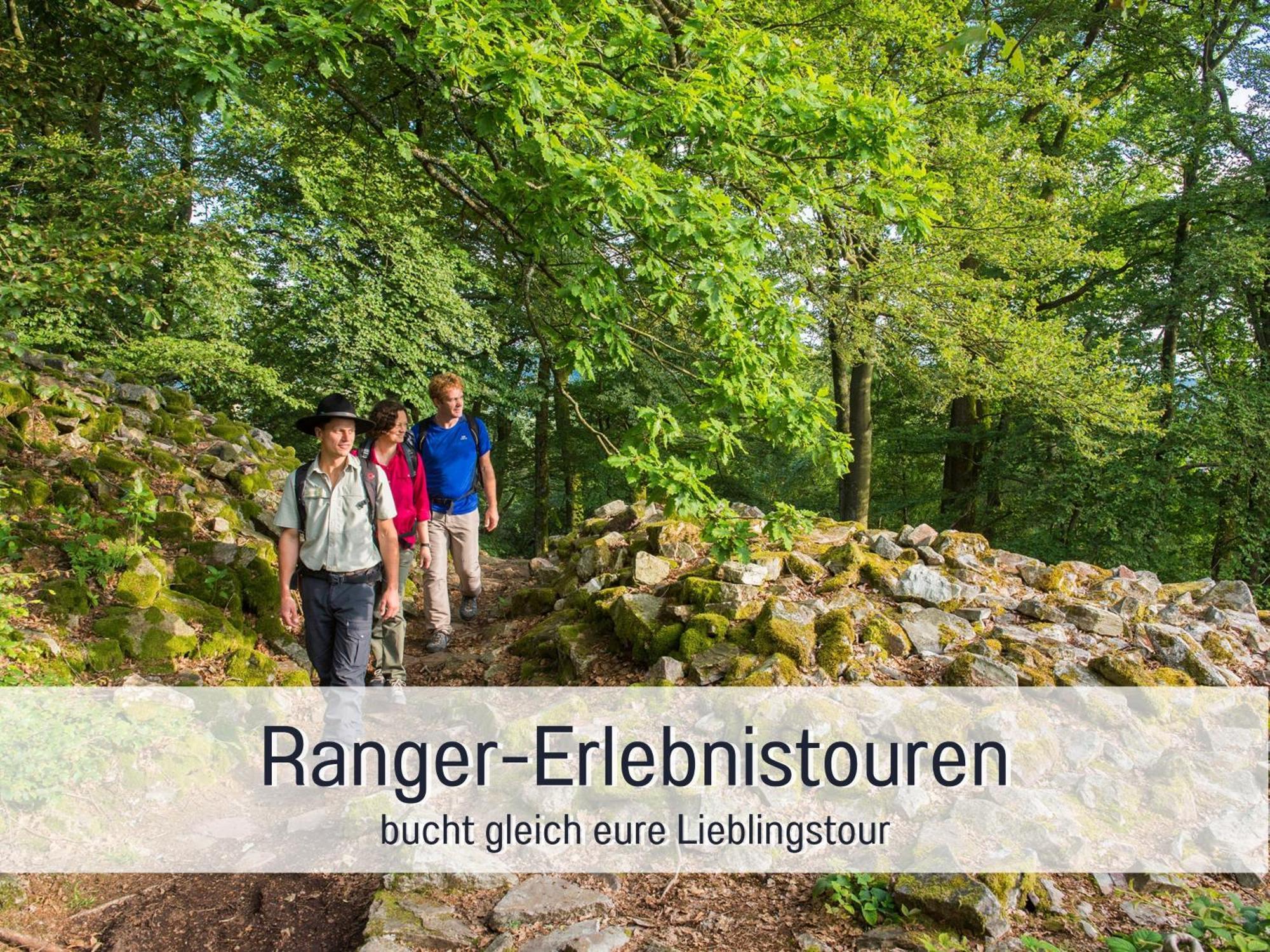 4 Sterne Zum Weiher Ferienhaus Allenbach
