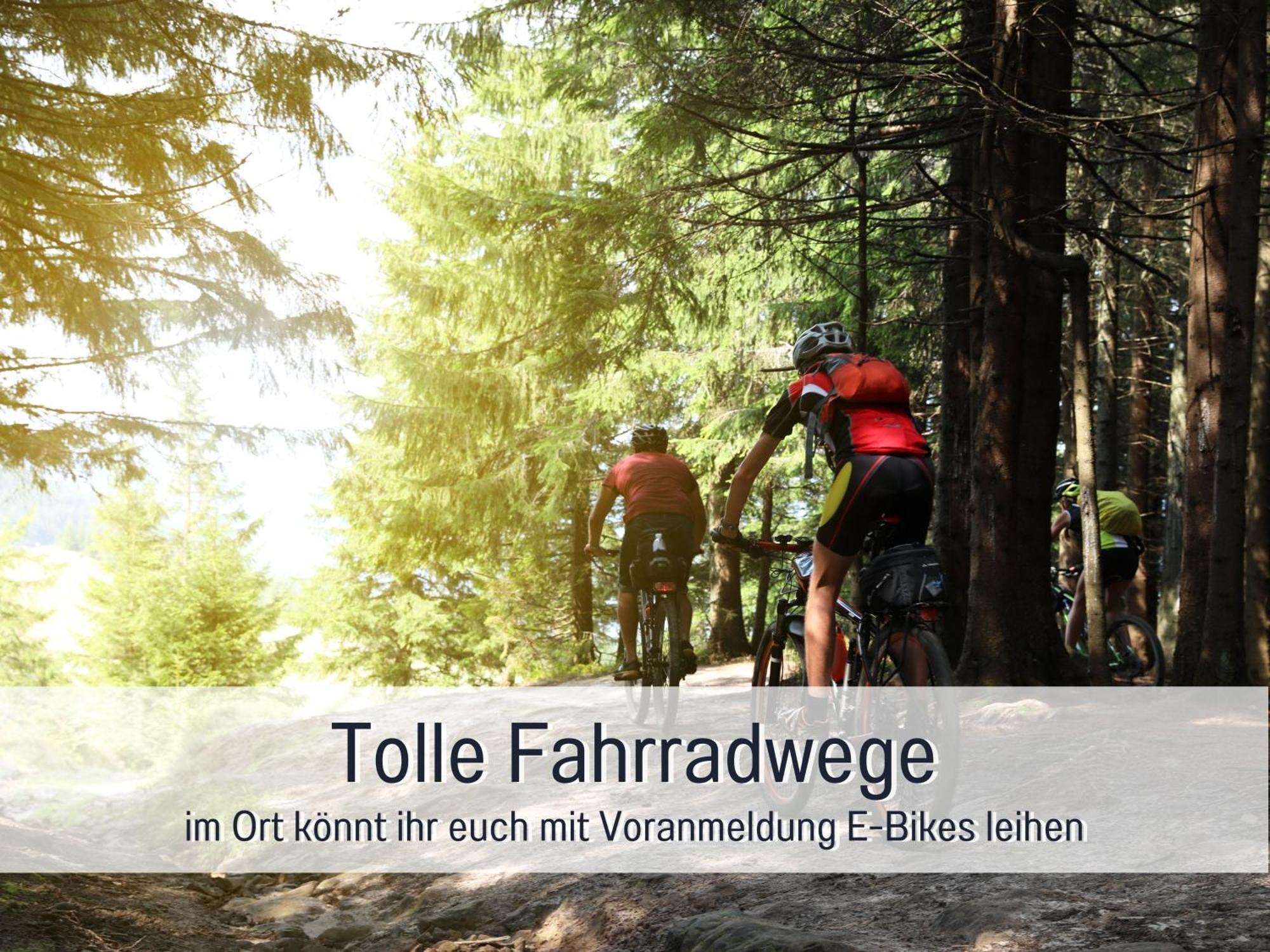 4 Sterne Zum Weiher Ferienhaus *