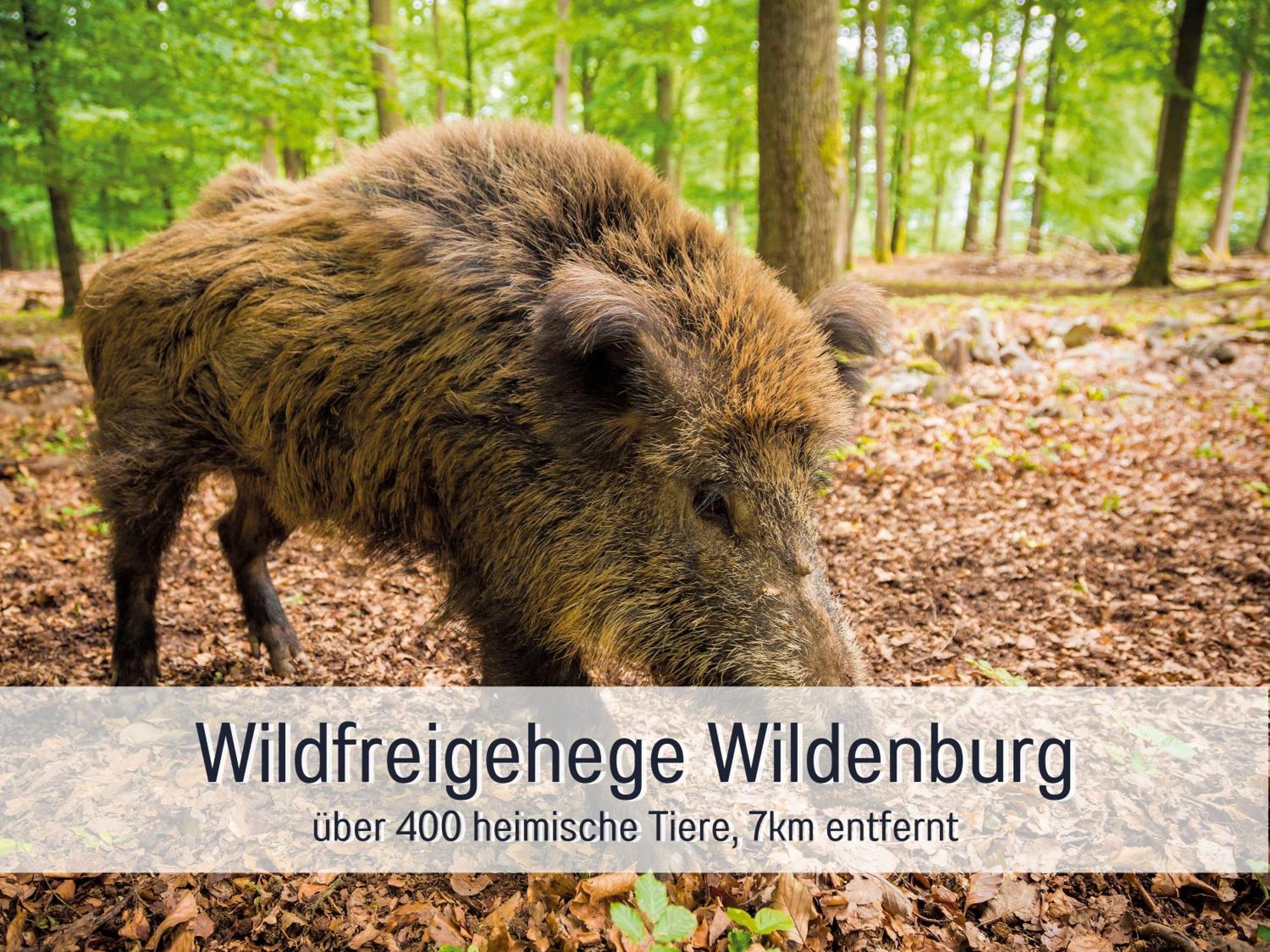 Ferienhaus 4 Sterne Zum Weiher *
